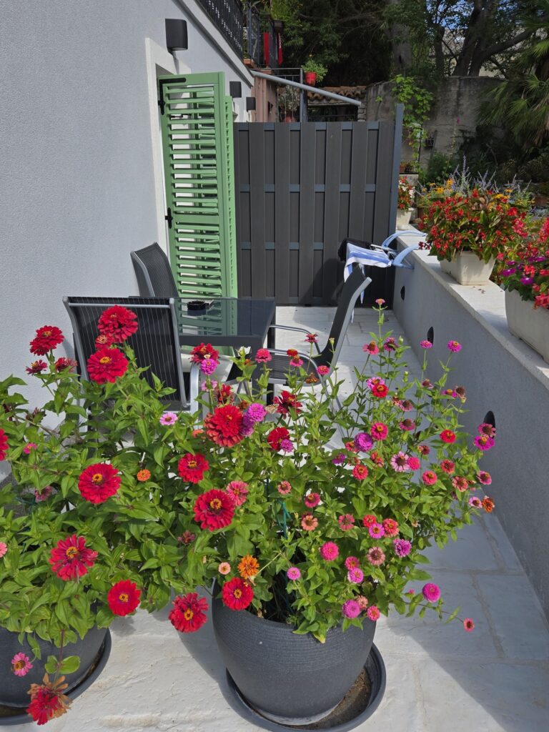balkon naranča